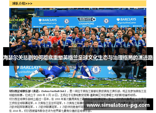 海瑟尔关悲剧如何彻底重塑英格兰足球文化生态与治理格局的演进路 海瑟尔关悲剧如何彻底重塑英格兰足球文化生态与治理格局的演进路