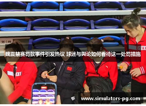 魏震禁赛罚款事件引发热议 球迷与舆论如何看待这一处罚措施 魏震禁赛罚款事件引发热议 球迷与舆论如何看待这一处罚措施