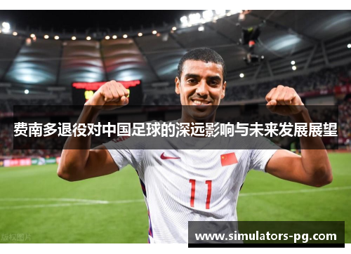 费南多退役对中国足球的深远影响与未来发展展望